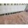 Tibetlamm Bettauflage Decke XXL-Teppich JAY04 Pastell Apricot 140x190cm
