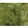 Australisches Merino Lammfell FINN Naturform hochwollig Hellgrün LWR 1603 95cm